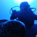 Hawaii Diving