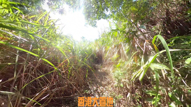 7-和合石上山GoPro_2022-03-04_20-59-50_screenshot.jpg